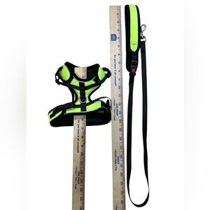 NWOT Dog Cat body harness and leash Size Small